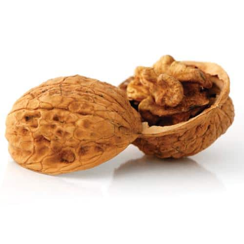 Berry’s Walnut Media